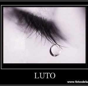 Meet your Posher, Elisa